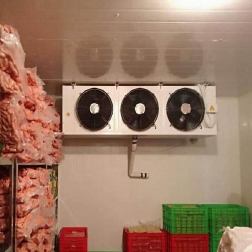 Báo giá thiết kế thi công, lắp đặt kho lạnh, kho đông, kho mát trọn gói tại Quận 1