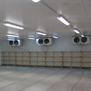 Thi Công, Thiết Kế Kho Mát, Kho Lạnh Công Nghiệp tại Quận 2