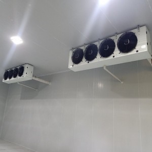 Thi Công, Thiết Kế Kho Mát, Kho Lạnh Công Nghiệp tại Quận 5