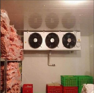 Thu mua kho lạnh, kho đông, kho mát các xã lân cận