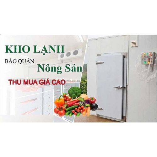 Thu mua kho lạnh giá cao tại Tp.HCM