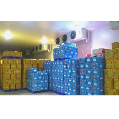Thu mua kho lạnh giá cao tại các khu chế xuất Tp.HCM