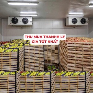 THU MUA KHO LẠNH GIÁ RẺ TẠI THỦ ĐỨC