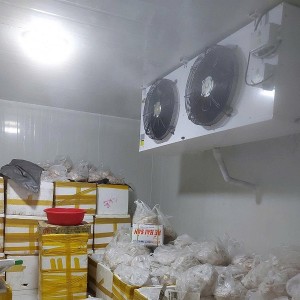 Thu Mua Kho Đông Lạnh Giá Tốt Tại Bình Dương